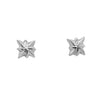 Belle & Bee Baby North Star earrings