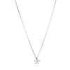 Belle & Bee Delicate star necklace