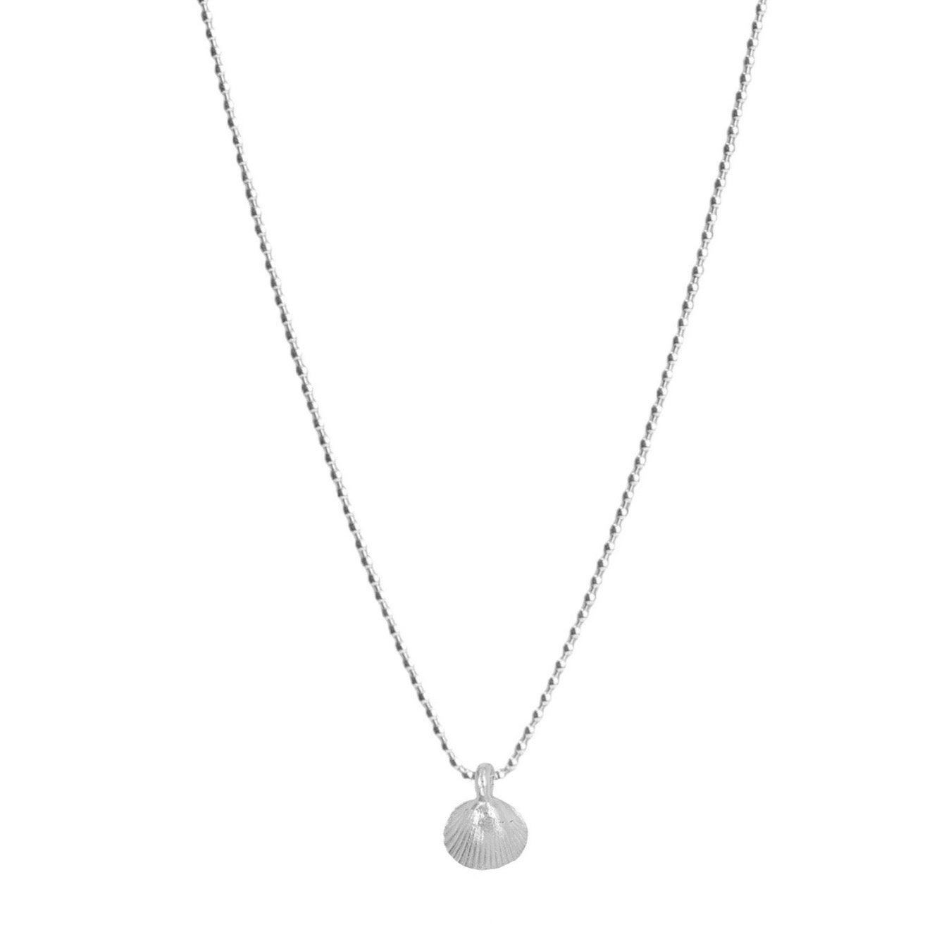 Belle & Bee Sterling Silver Shell necklace xx