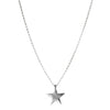 Belle & Bee Maxi Star necklace