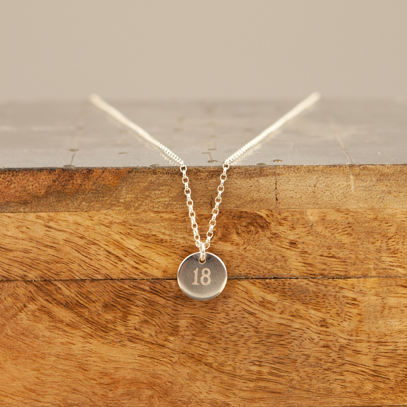 Belle & Bee Sterling silver birthday disc necklace